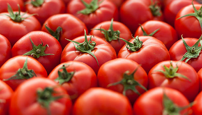 Tomato